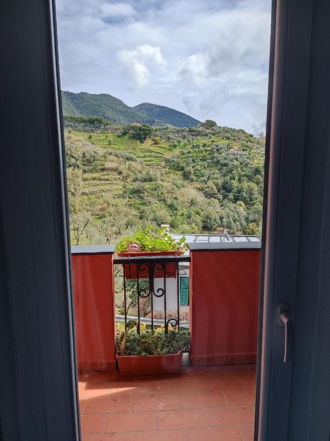 Villa Caribe Affittacamere Монтероссо-аль-Маре Екстер'єр фото